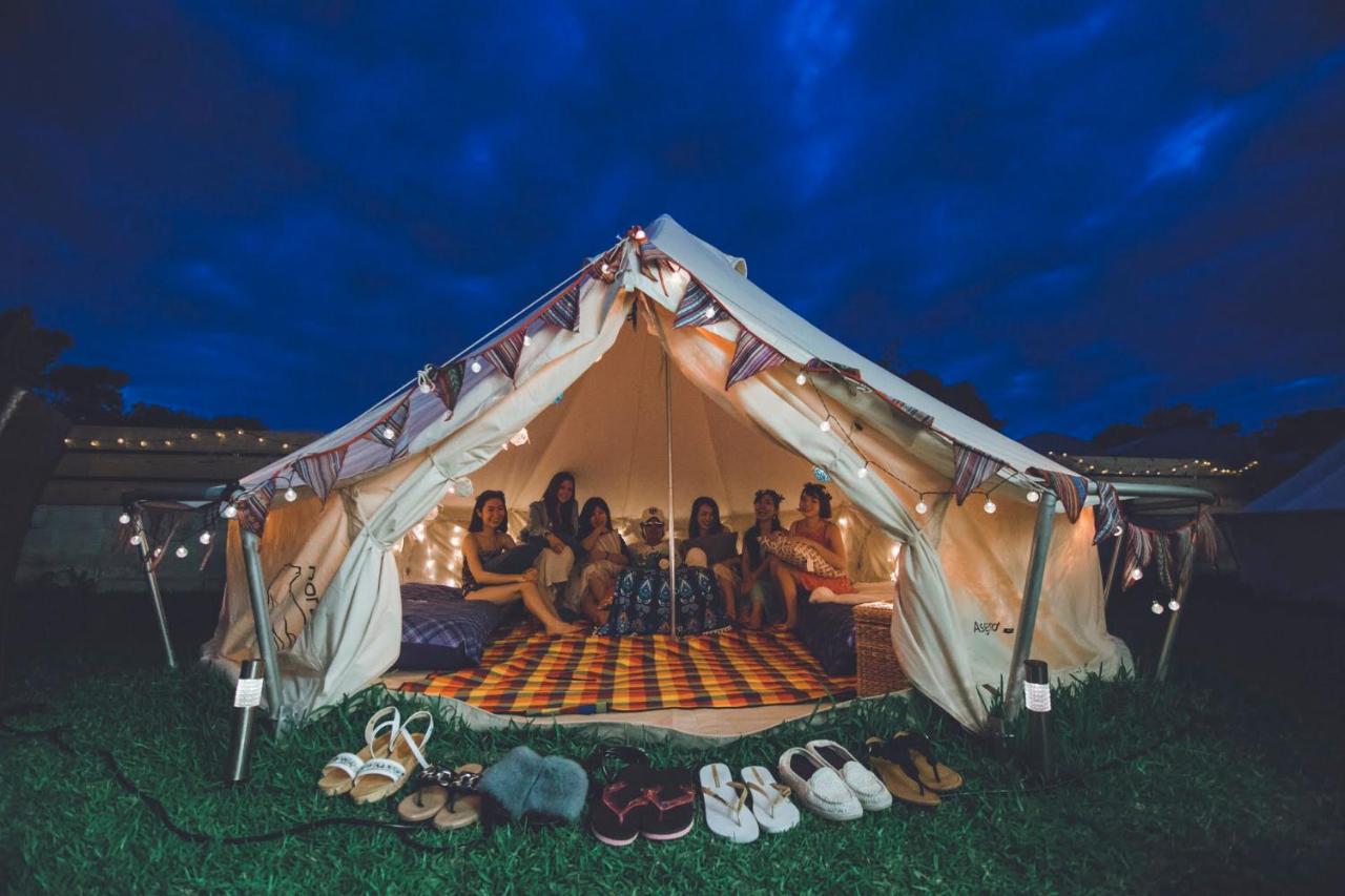 紫蓮 shiren ピンクグラデーション 急須 逃げ込める 